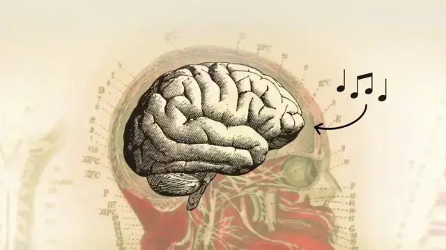 'Video thumbnail for Homo sapiens: The “great synthesizers” of music'