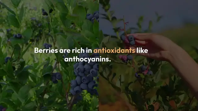 Video thumbnail for Superfoods for Cancer Prevention