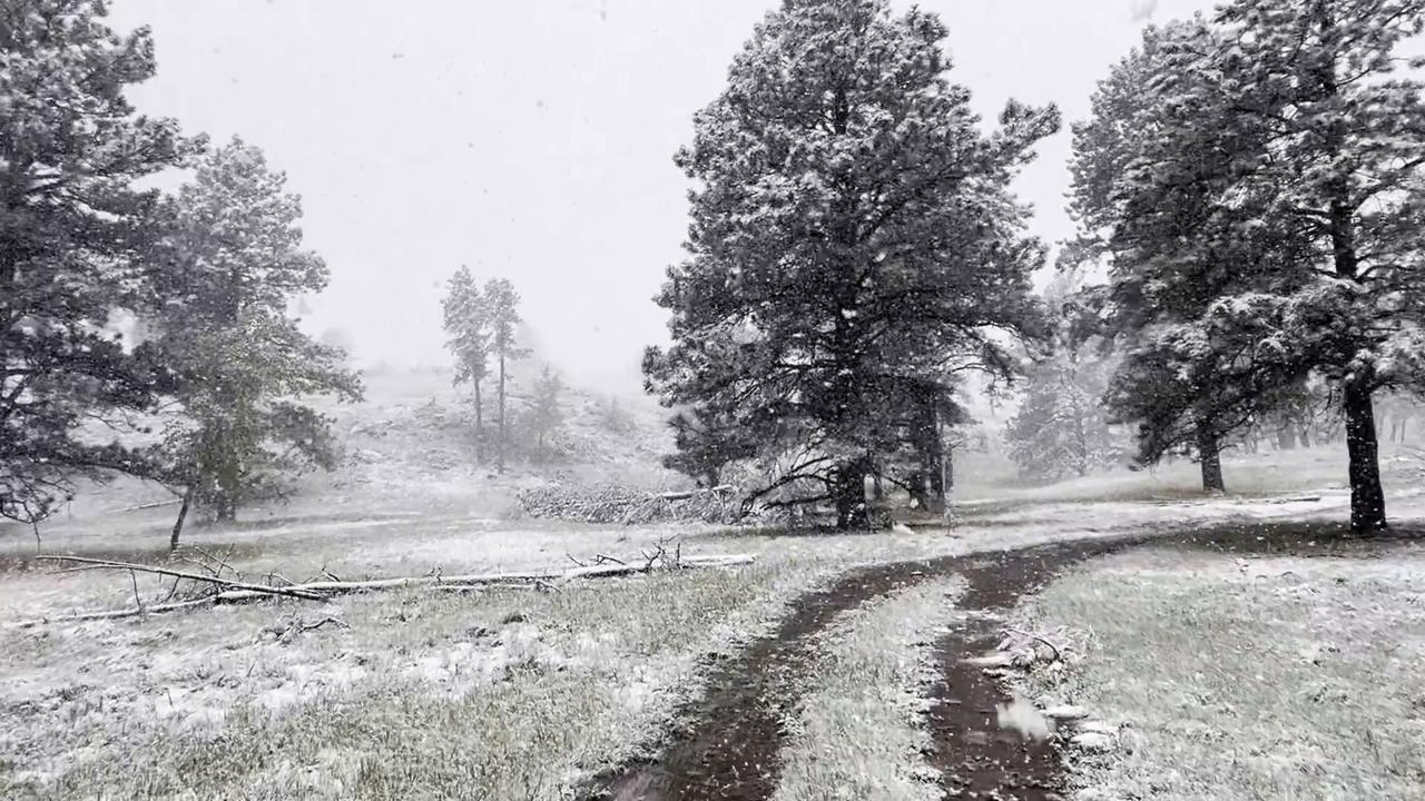 Video thumbnail for US: Moderate snowfall hits Evergreen, CO.