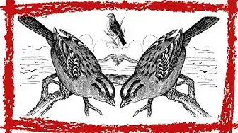 Video thumbnail for 15 Minutes White-crowned Sparrow Song/Call/Sound