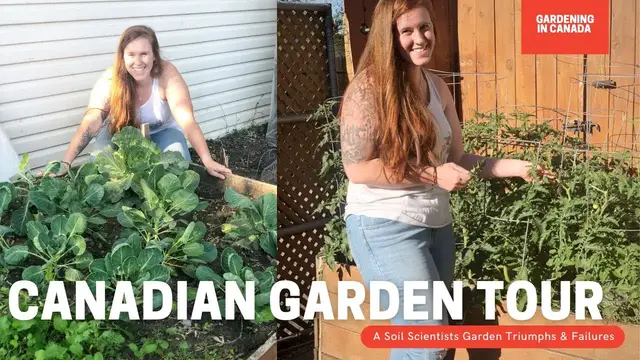 Video thumbnail for Gardening In Canada Garden Tour. Mid Summer Canada Zone 3 Backyard Garden Tour.  USDA Zone 4