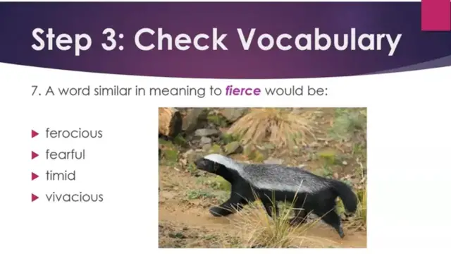 Video thumbnail for Test Your English:  Listen and Learn (Honey Badgers)