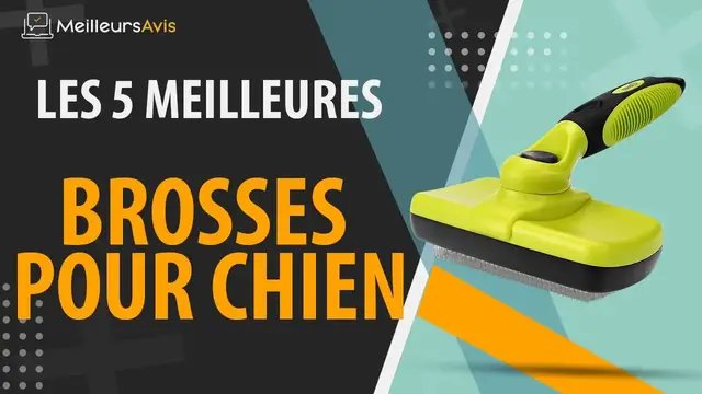 Video thumbnail for ⭐️ MEILLEURE BROSSE POUR CHIEN - Avis & Guide d'achat (Comparatif 2021)