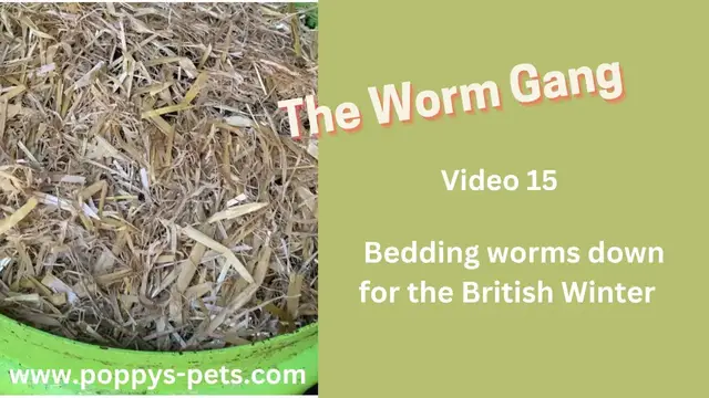 Video thumbnail for Video 15: Insulating Any Worm Bin for the Winter including The Ferme Du Moutta