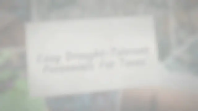 Video thumbnail for Easy Drought-Tolerant Perennials For Texas