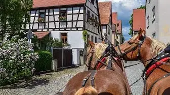Video thumbnail for Durchs Fränkische Weinland per Pferdekutsche