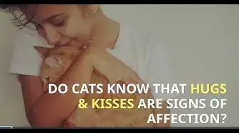 Video thumbnail for DO CATS KNOW THAT HUGS KISSES ARE SIGNS