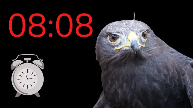 Video thumbnail for Heure Miroir 08:08 : vraiment de MAUVAIS AUGURE ? ⏰