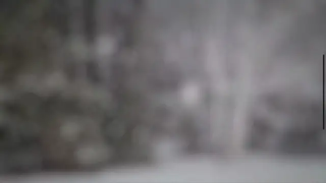 Video thumbnail for NYC Snow Days ‘Cancelled’