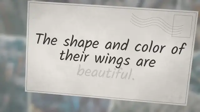 Video thumbnail for Do Butterflies Have Bones?