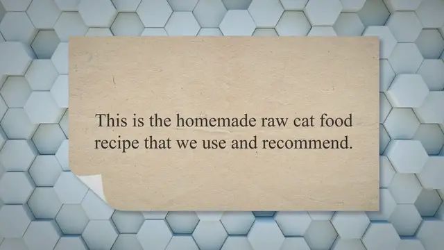 'Video thumbnail for Easy Homemade Raw Cat Food Recipe'