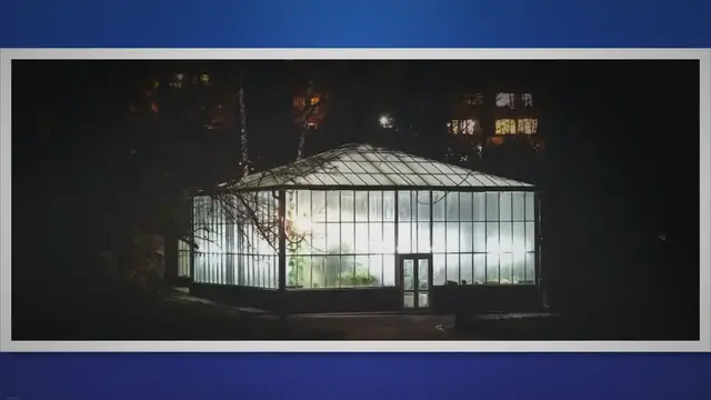 Video thumbnail for Gewächshaus Größe ermitteln – so gelingt’s