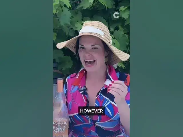 Video thumbnail for Should you put ice in your wine when the weather gets scorching? 🍷🧊