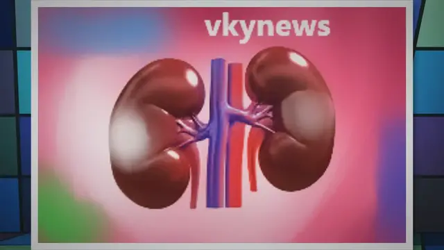'Video thumbnail for How To Keeps The Human Kidney Healthy'