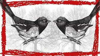 Video thumbnail for 15 Minutes Eastern Towhee Song/Sound/Call