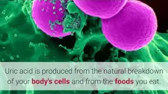 'Video thumbnail for How to Lower Uric Acid Levels Quickly and Naturally!!!'