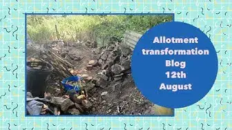 'Video thumbnail for ✅ Allotment Transformation 🌿✨ | Big Progress & Exciting Changes – August 12th 2020 Update 🌱🏡'