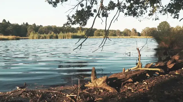 Video thumbnail for Guided Meditation | How to change your limiting beliefs for more success