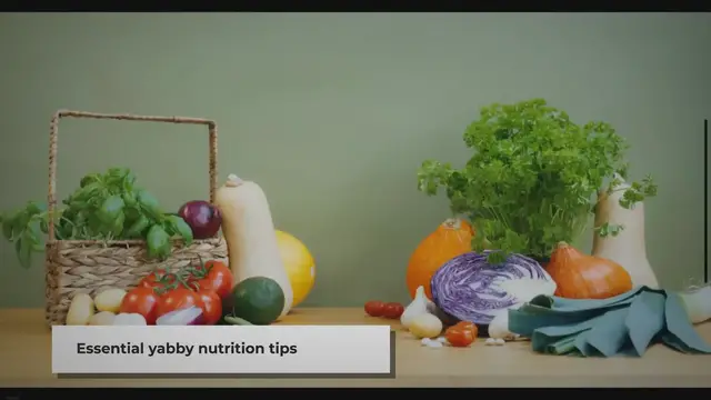 Video thumbnail for Feeding Pet Yabbies: A Comprehensive Guide