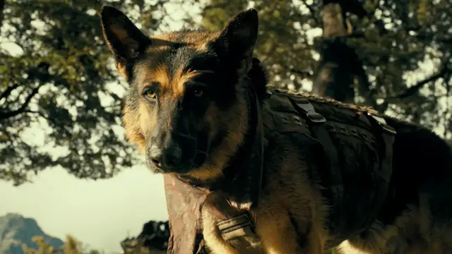Video thumbnail for Heart of the Beast - Official Odin Behind-the-Scenes Featurette