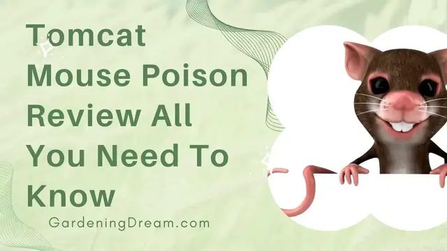 Video thumbnail for Tomcat Mouse Poison Review All You Need To Know