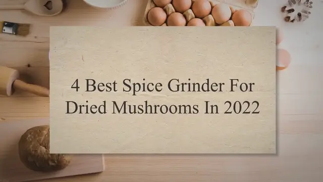 'Video thumbnail for 4 Best Spice Grinder For Dried Mushrooms In 2022'