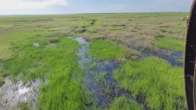 Video thumbnail for Crocodile in Northern Territory of Australia