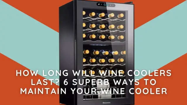 Video thumbnail for How Long Will Wine Coolers Last? 6 Superb Ways To Maintain Your Wine Cooler