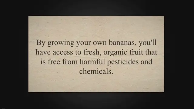 Video thumbnail for From Garden to Table: A Guide to Growing and Harvesting Bananas in Your Own Backyard