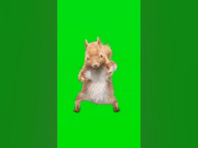 Video thumbnail for Jimmy dancing part1