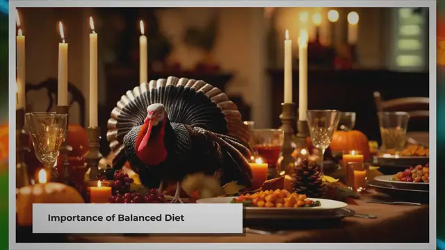Video thumbnail for Feeding Your Pet Turkeys: A Quick Guide