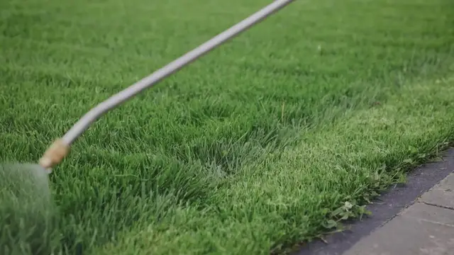 Video thumbnail for Weed Killer That Won’t Kill Your Grass