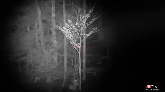 Video thumbnail for ATN X-Sight 4K Pro