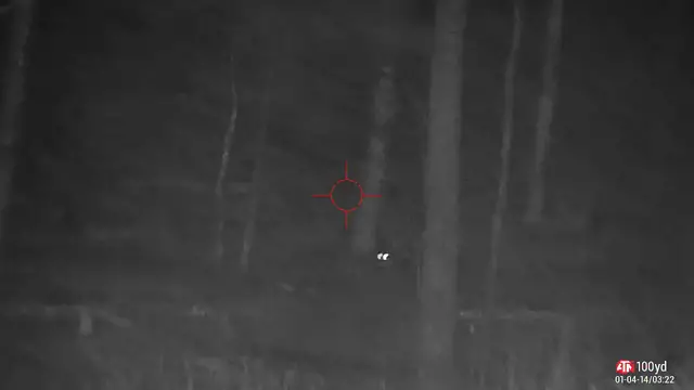 'Video thumbnail for Coyote Hunting with ATN X-Sight 4 K Pro'