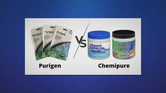 'Video thumbnail for Purigen VS Chemipure (Which Is Best For Your Aquarium?)'