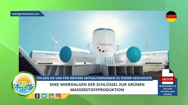 Video thumbnail for [German] Are micro-algae the key to green hydrogen production?