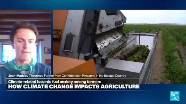 Video thumbnail for French farmers 'heavily impacted' by climate crisis, both psychologically and economically.
