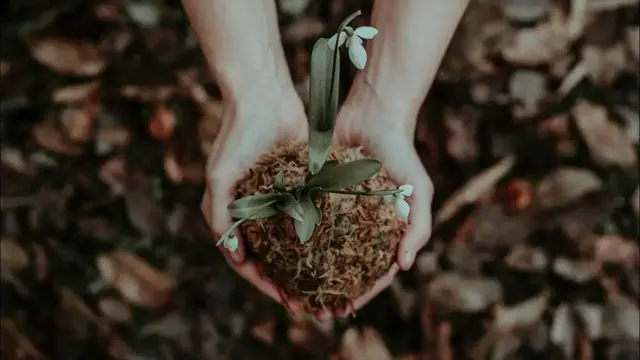 Video thumbnail for Effects of Soil Pollution