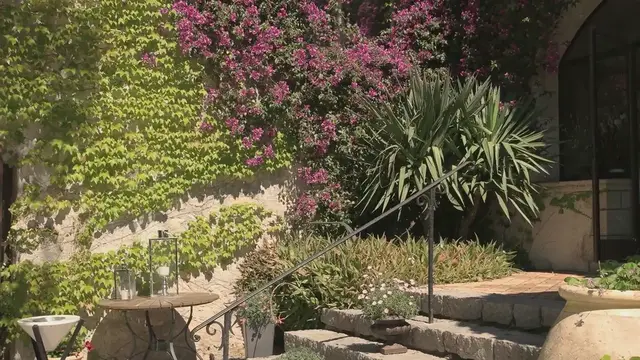 Video thumbnail for Best Shrubs for Front of House