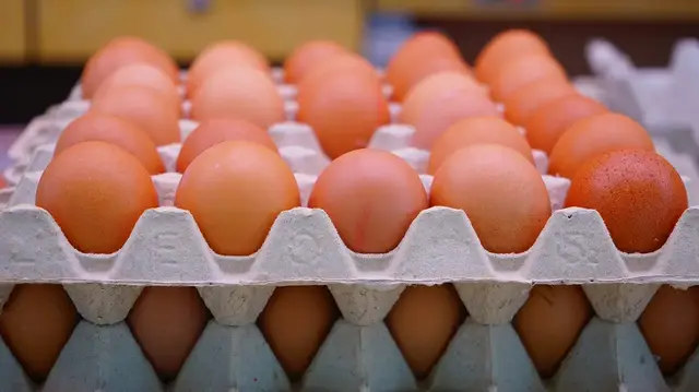 Video thumbnail for How Long Do Fresh Eggs Last?