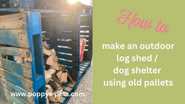 Video thumbnail for How to Make a Log Shed / Dog Shelter From Old Pallets - Outdoor Upcycle Project in 25 Minutes