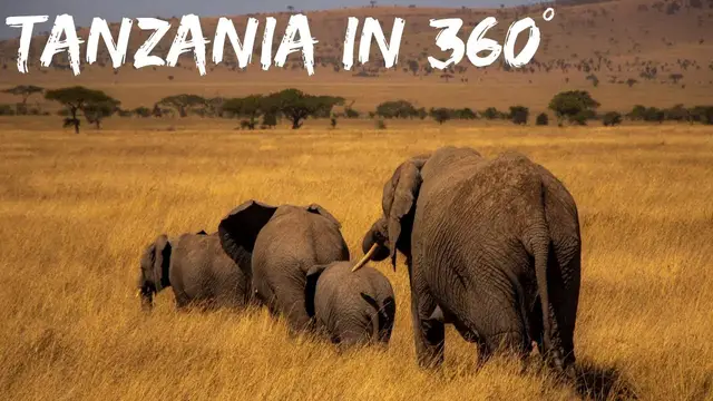 Video thumbnail for Serengeti Safari & Ngorongoro Crater in 360° | Virtual Reality 4K