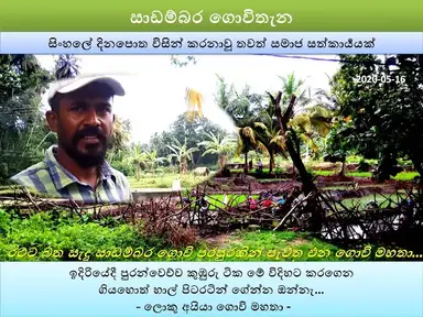 'Video thumbnail for 02 : සාඩම්බර ගොවිතැන කෙන්ගල්ල | වීරයෝ කියන්නෙ රටට වැඩ කරන මිනිස්සු | ලොකු අයියා ගොවි මහතා'