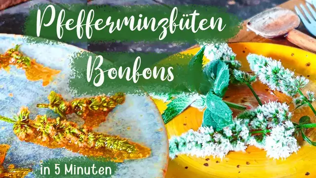 Video thumbnail for Pfefferminzblüten Bonbons selber machen - Zum sofort Essen in 5 Minuten fertig - Schnell und lecker
