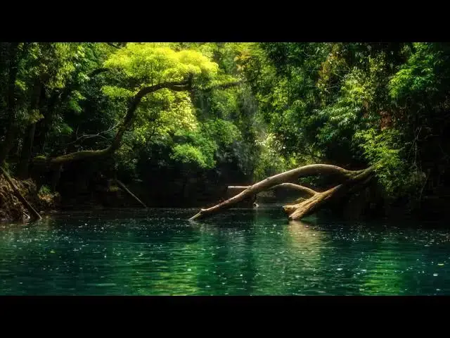 Video thumbnail for Forest   Nature   Waterfalls   Trees