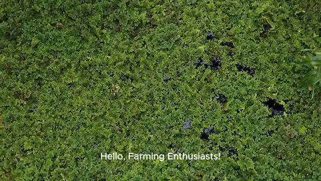 Video thumbnail for Lápis para Marcação de Sobrancelhas Melhor Fixação