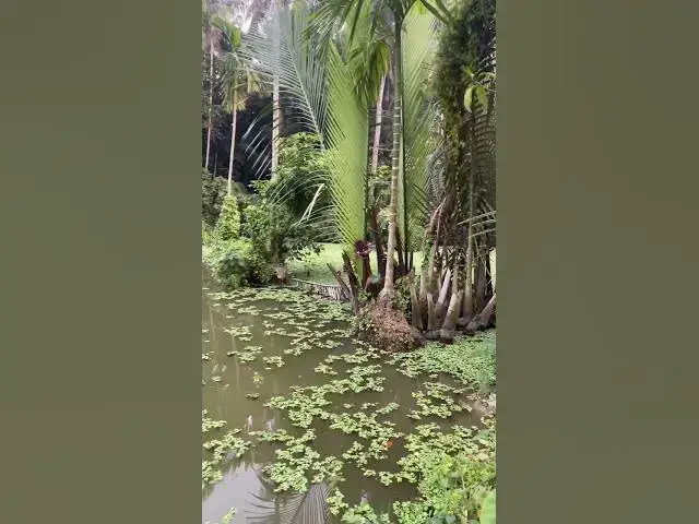 Video thumbnail for চোখের পানির এত কারিশমা | Islamic Motivational | Islamic Reminder #islamicreminder