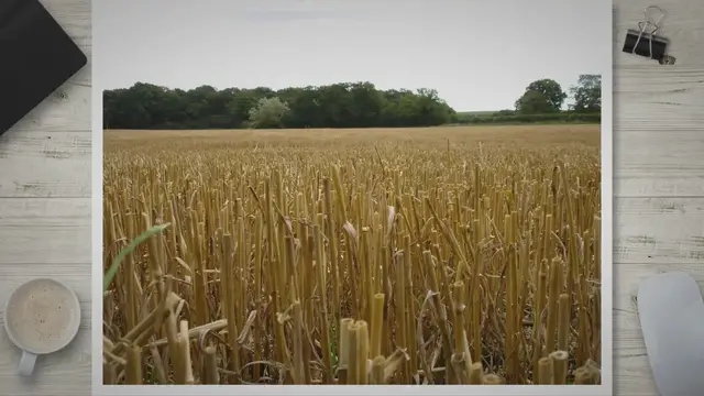 Video thumbnail for What is Smart Agriculture: Exploring the World of Smart Agriculture and Its Game-Changing Technologies