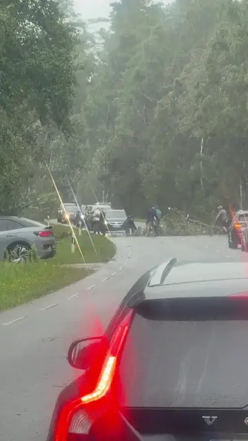 Video thumbnail for Drivers and Firefighters Clearing Storm Fallen Trees from Road