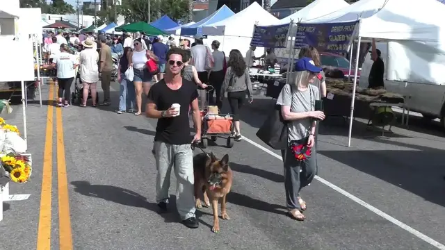 Video thumbnail for Raw Video: Celebrities Shopping At The Farmers Market In Studio City: Sasha Farber.